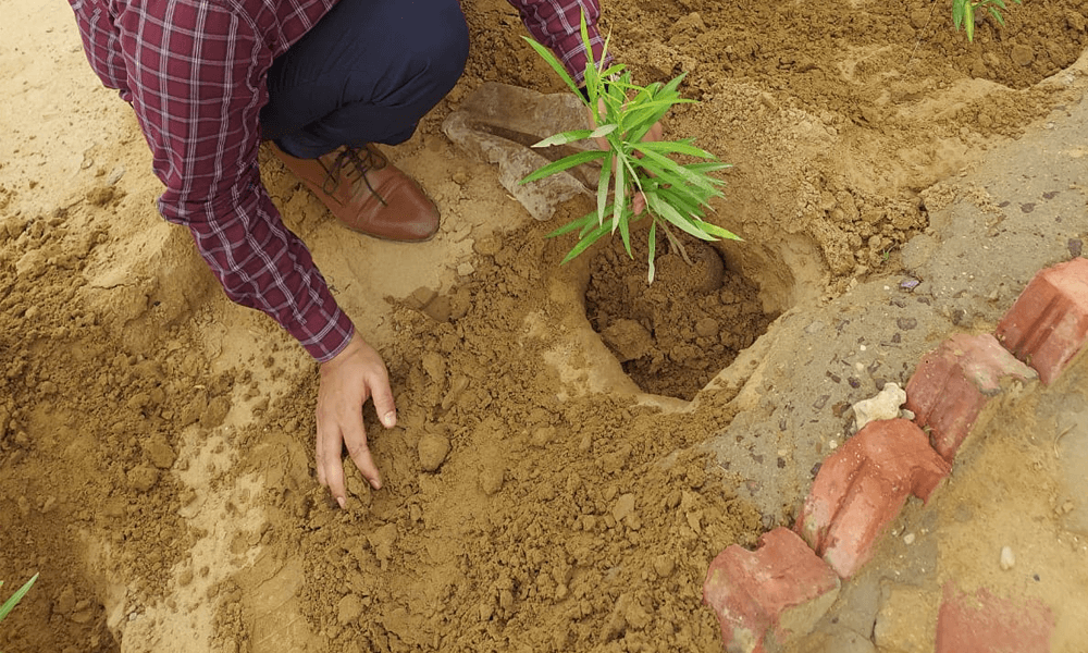 Environmental Sustainability